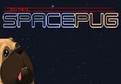 Super Space Pug