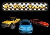 RC Mini Racers