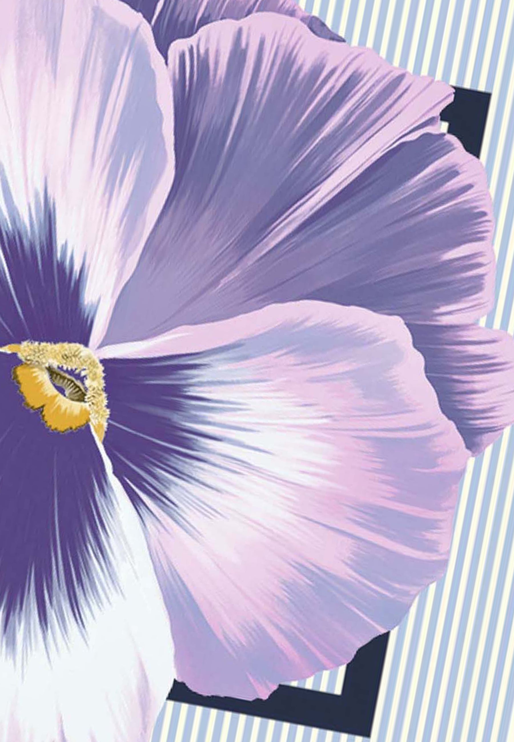 Liu Jo Accessoire femme Echarpes — liliac