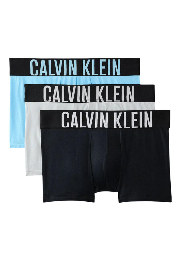 Calvin Klein Underwear Homme Sous-vetements