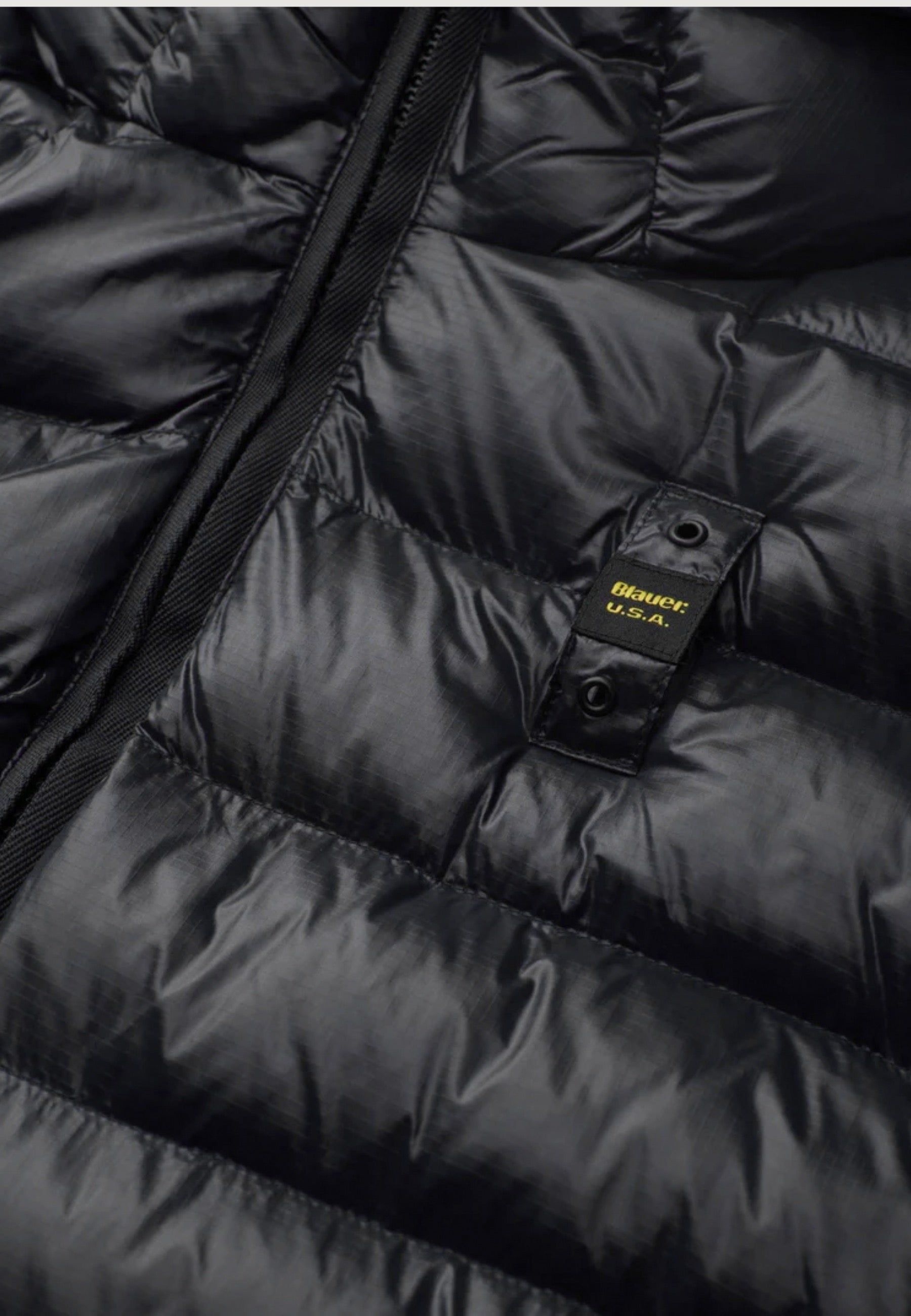 Blauer. Vêtement homme Jaquettes — black