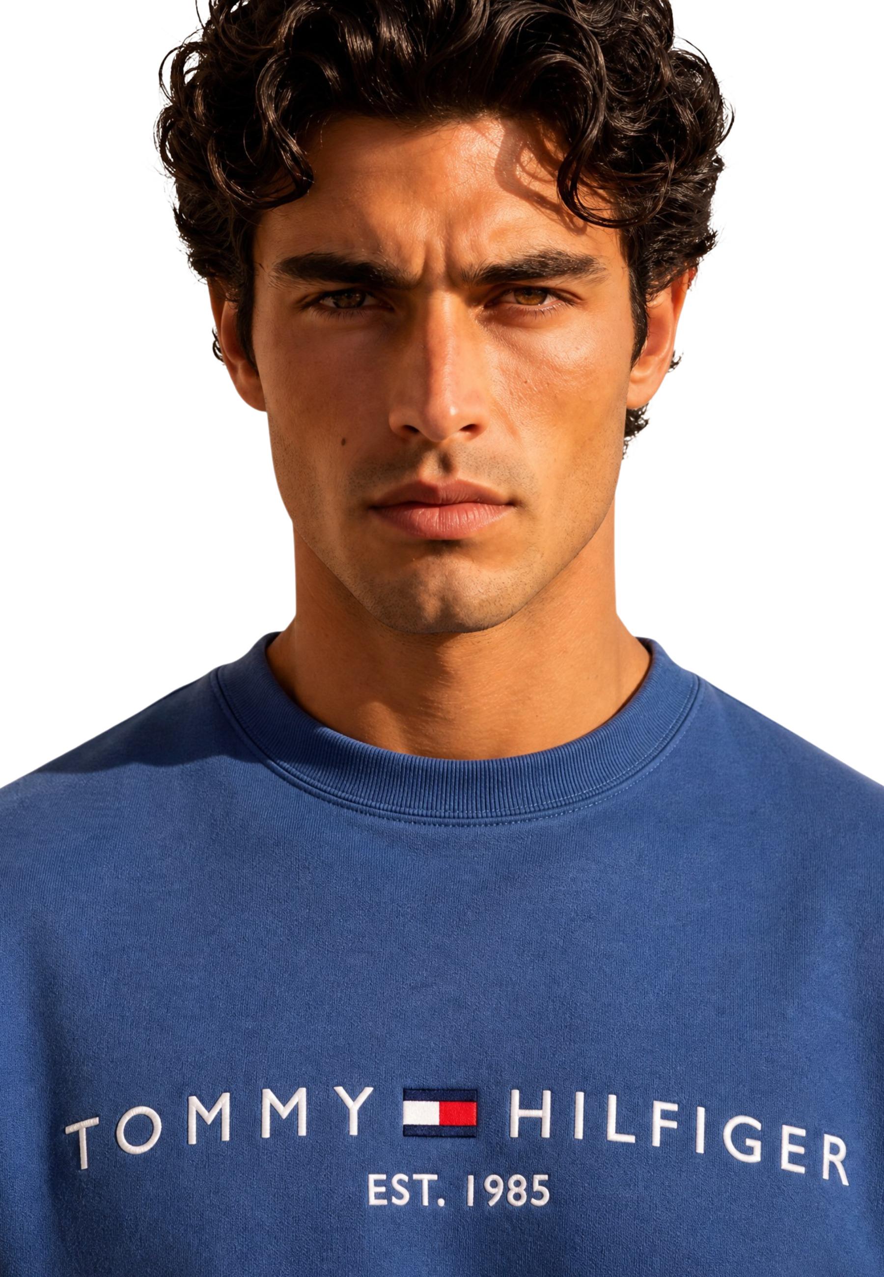 Tommy Hilfiger Sweat homme Sweatshirts — blue