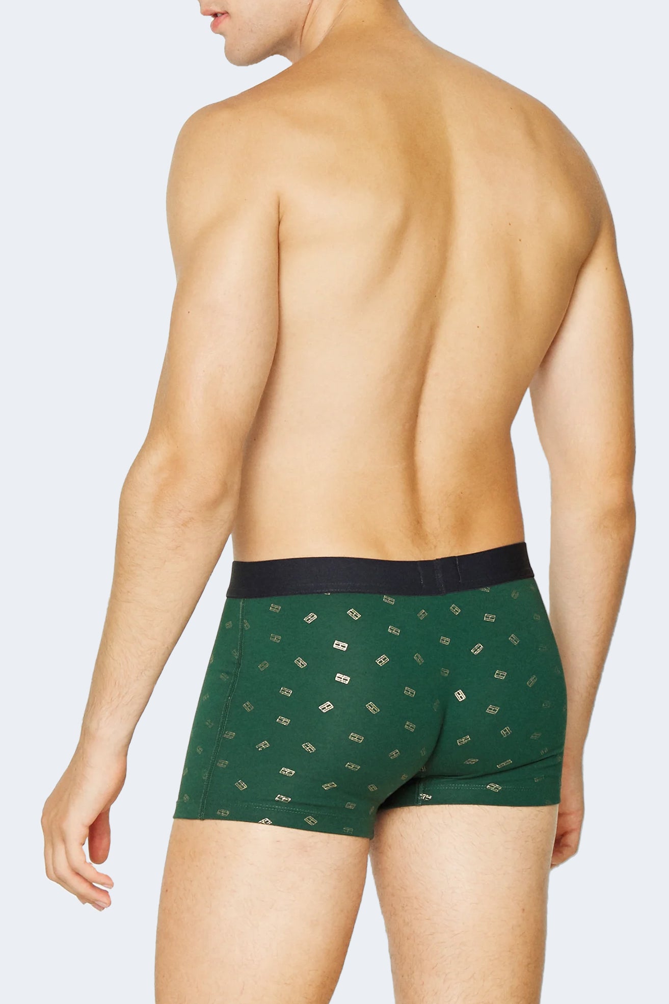 Tommy Hilfiger Sous-vêtements homme Sous-vetements — green