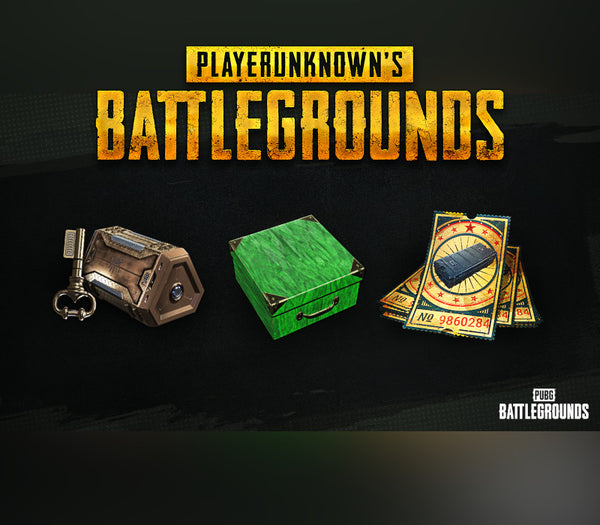 PUBG Battlegrounds - 2024 Xbox Game Pass Exclusive Survivor Pack #4 DLC RoW XBOX One /