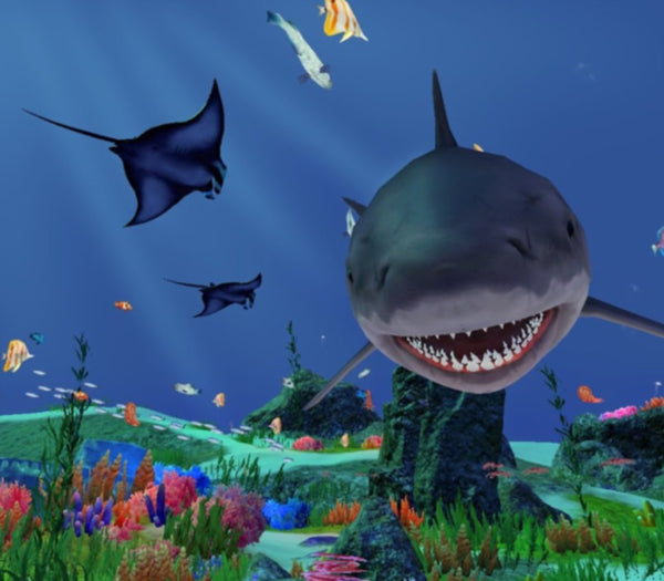 Fancy Fishing VR