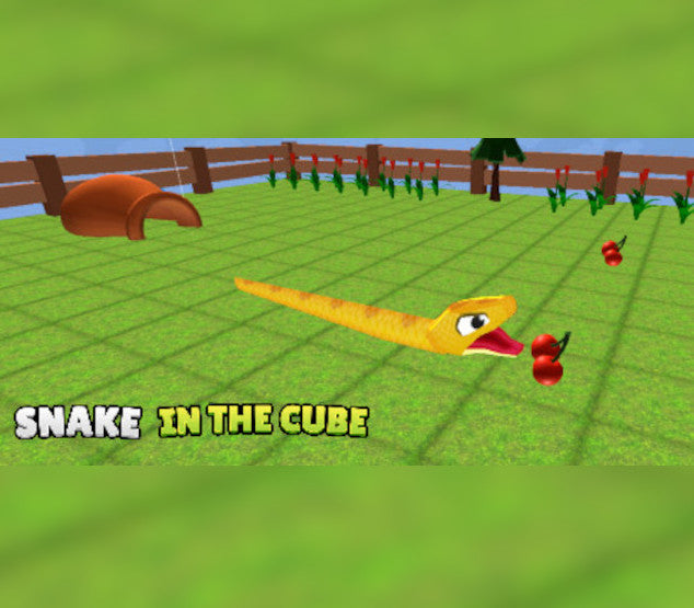 Snake In The Cube