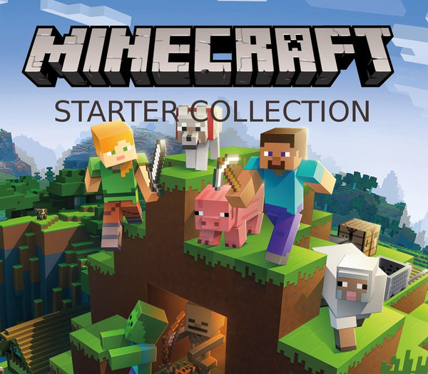 Minecraft - Starter Collection Upgrade DLC