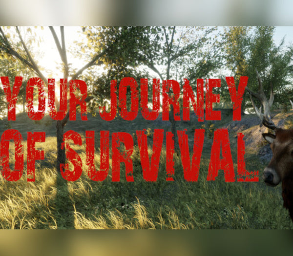 Your Journey of Survival